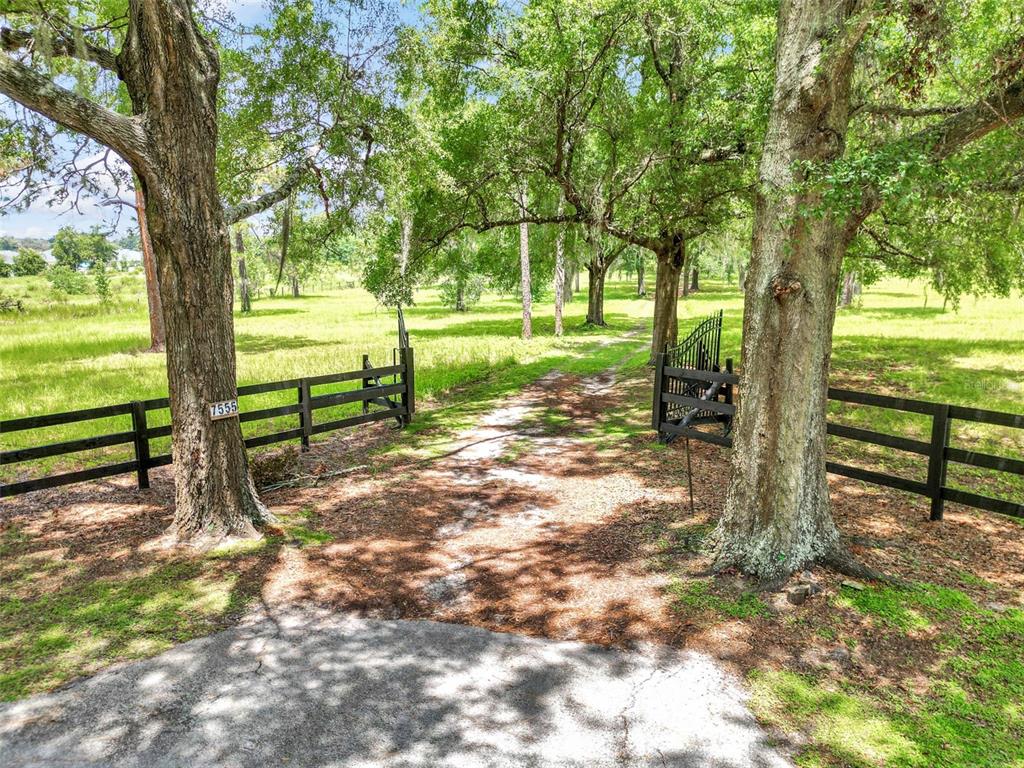a view of a yard with a tree