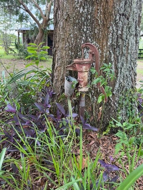 7555 Southwest 77 Place Ocala, FL 34481 - Photo 28 of 37