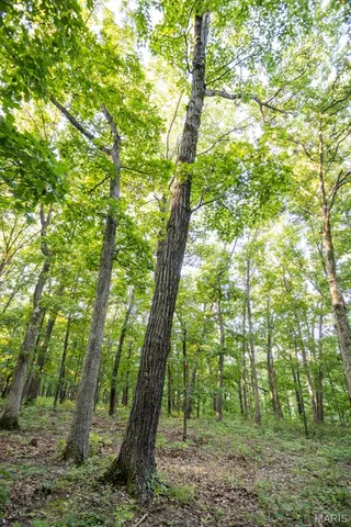 $499,000 | 1000 State Hwy A, Iberia, MO 65486