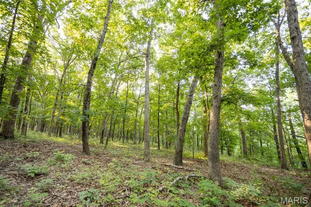 $499,000 | 1000 State Hwy A, Iberia, MO 65486