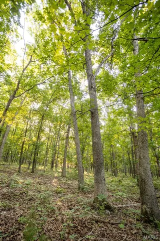 $499,000 | 1000 State Hwy A, Iberia, MO 65486