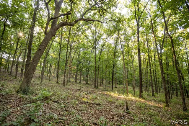 $499,000 | 1000 State Hwy A, Iberia, MO 65486