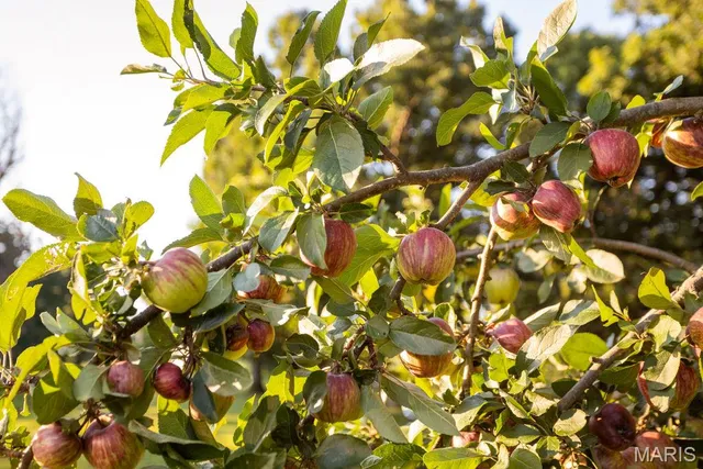 $499,000 | 1000 State Hwy A, Iberia, MO 65486