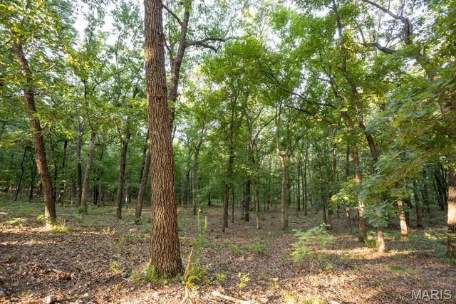 $499,000 | 1000 State Hwy A, Iberia, MO 65486