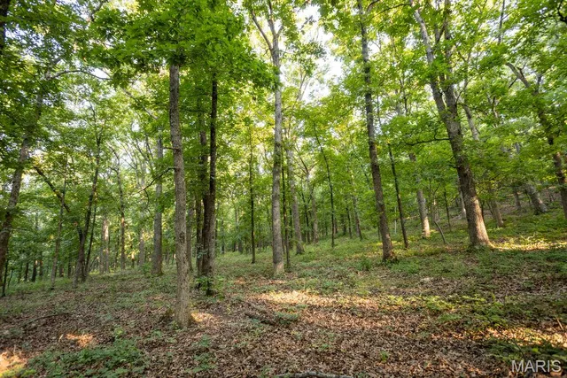 $499,000 | 1000 State Hwy A, Iberia, MO 65486