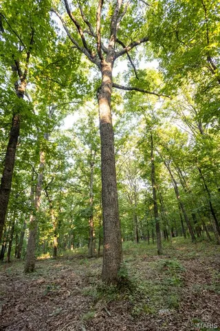 $499,000 | 1000 State Hwy A, Iberia, MO 65486