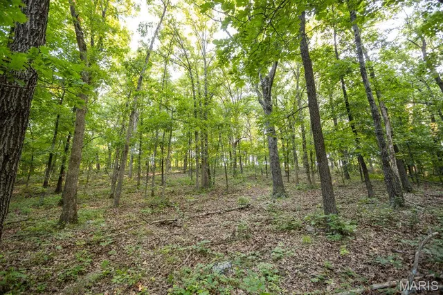 $499,000 | 1000 State Hwy A, Iberia, MO 65486