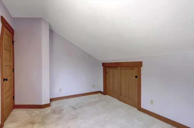 a view of a garden with plants