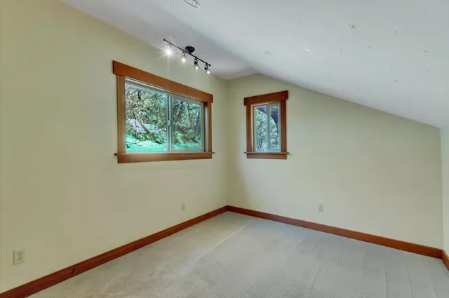 a view of a yard with plants and large trees