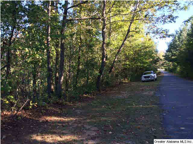 Copper Springs Road, Unit 17 Odenville, AL 35120 - Photo 3 of 7