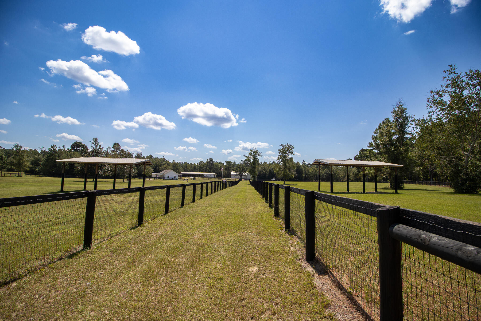 571 Oak Ridge Club Road Windsor, SC 29856 - Photo 8 of 107