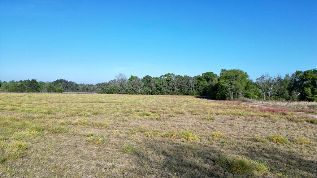 Vacant Hempstead Church Road Moultrie, GA 31788 - Photo 15 of 19 Gallery Image 15