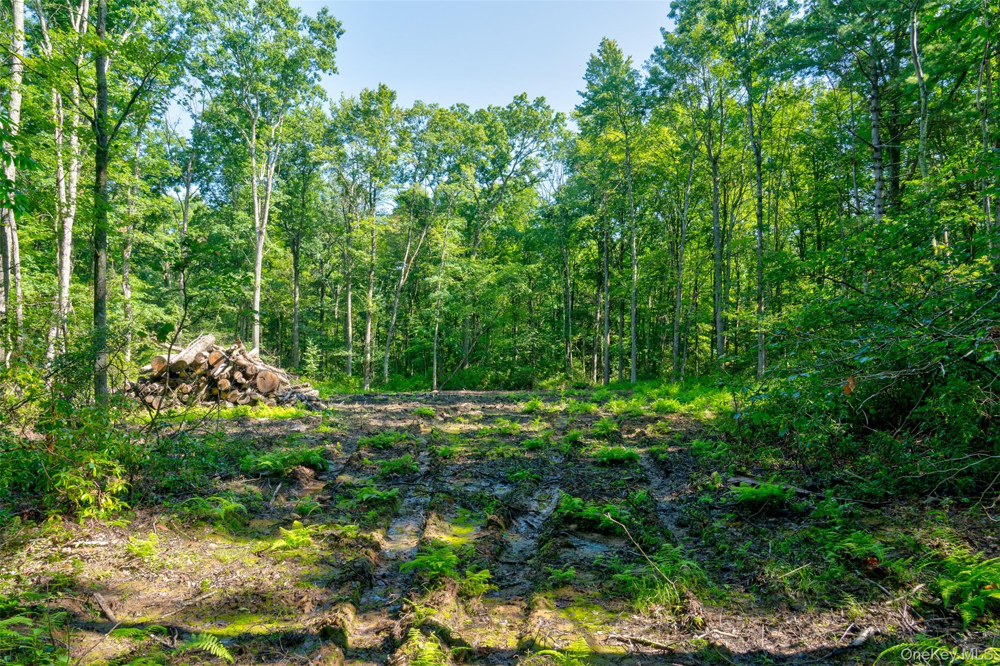 Lot 22 Perry Pond Road Narrowsburg, NY 12764 - Photo 6 of 15 Gallery Image 6