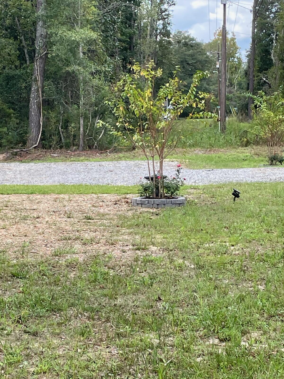 680 Barracada Road Walterboro, SC 29488 - Photo 3 of 8 IMG_1694