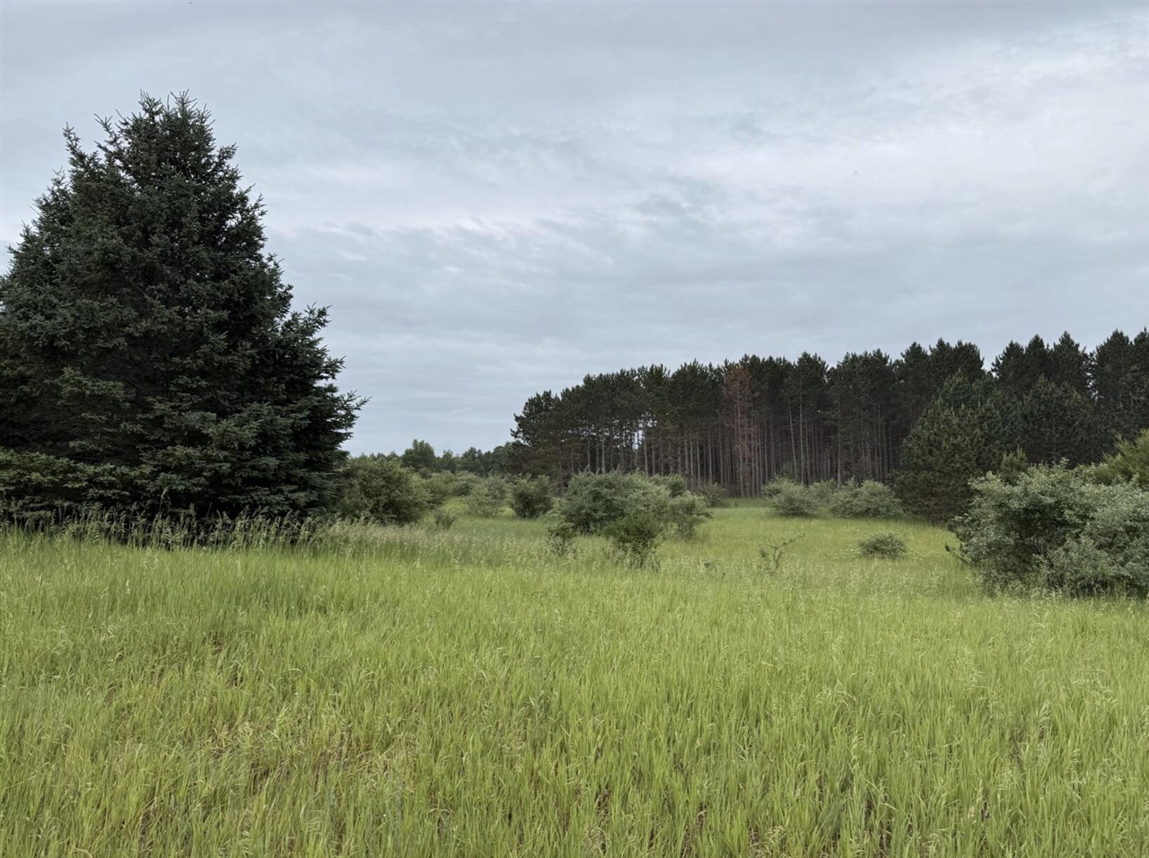 Eight Mile Road Kaleva, MI 49645 - Photo 10 of 14