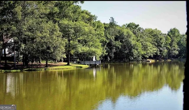 a view of an ocean with trees