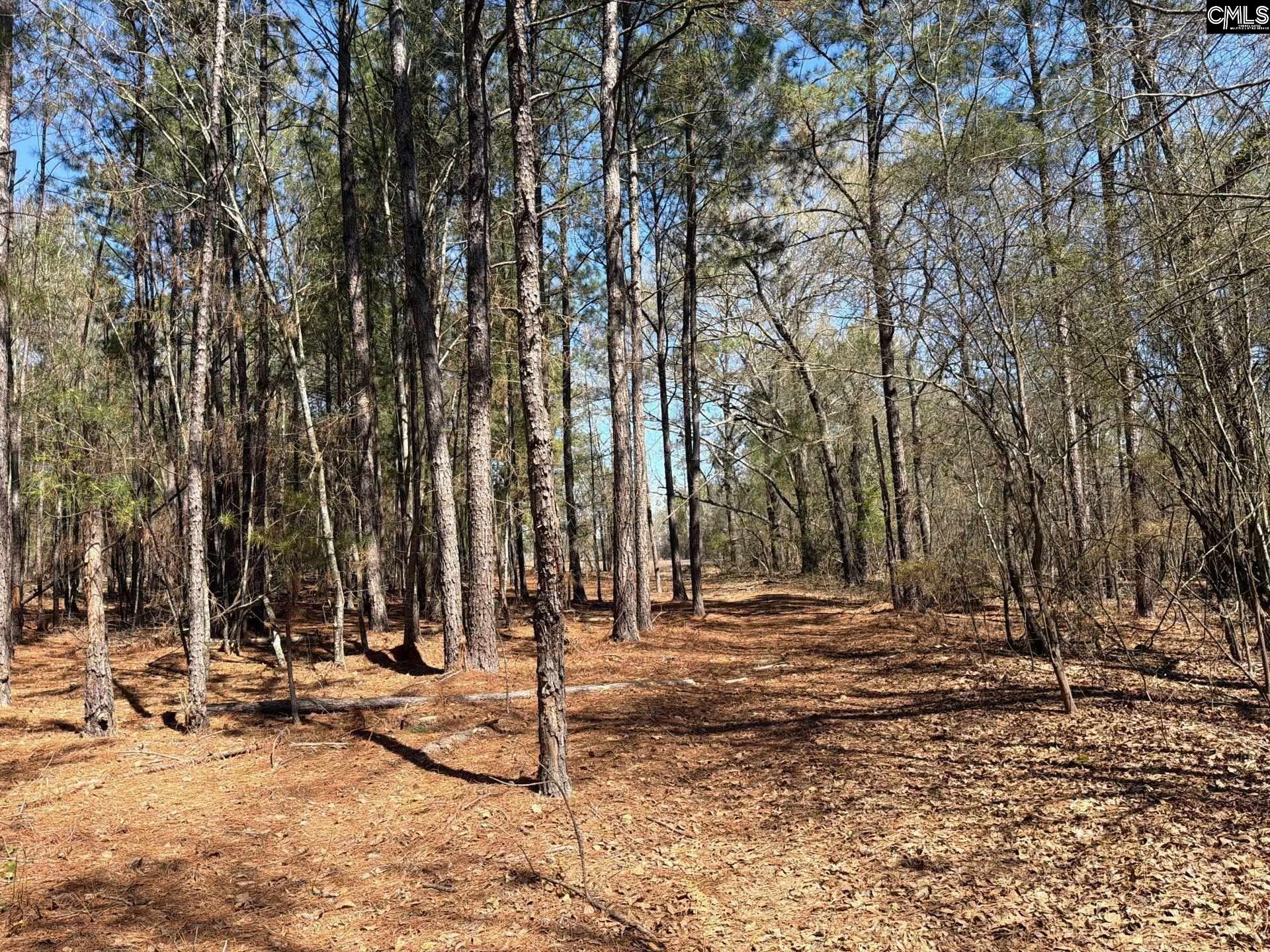 13 Boise Cascade Road, Unit BHL 13 Bethune, SC 29009 - Photo 17 of 31