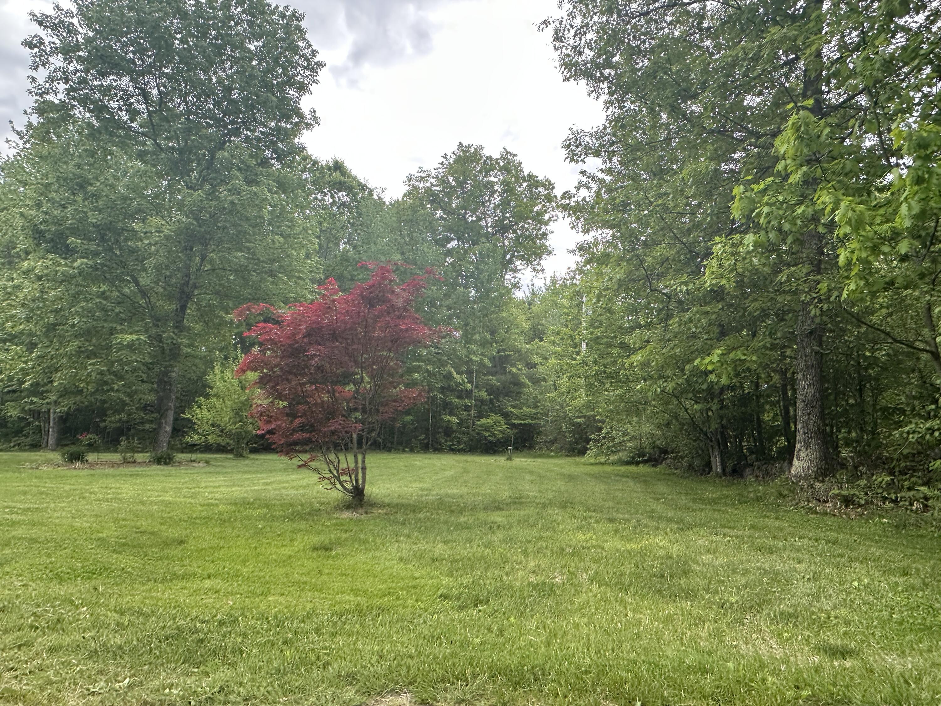 283 Davis Road Lyman, ME 04002 - Photo 40 of 48 beautiful yard