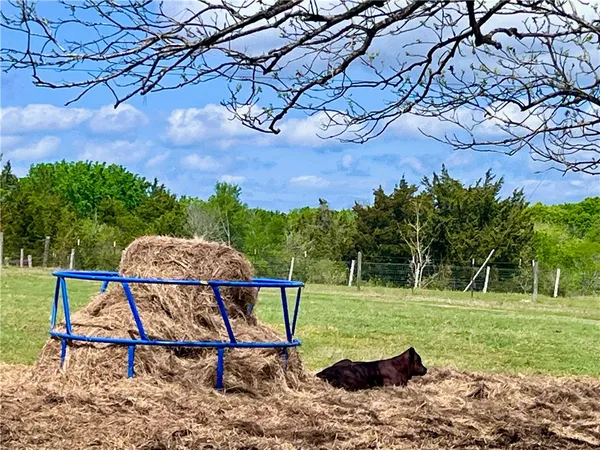 $284,500 | 0 Marshall Lane, Chappell Hill, TX 77426