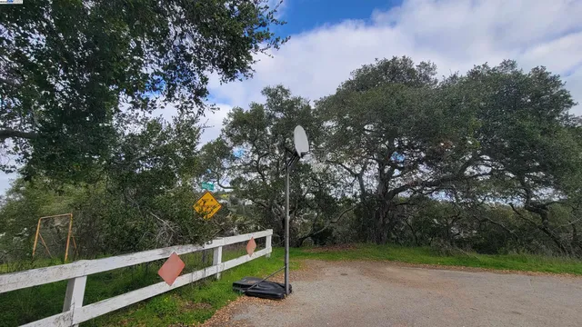 a view of a garden with a bench