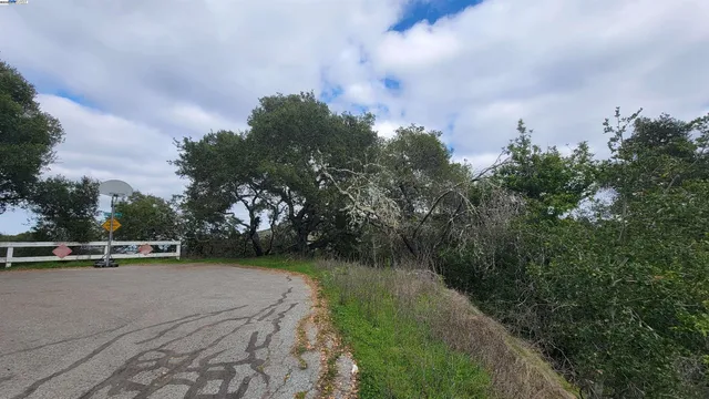 a view of a city with lush green forest