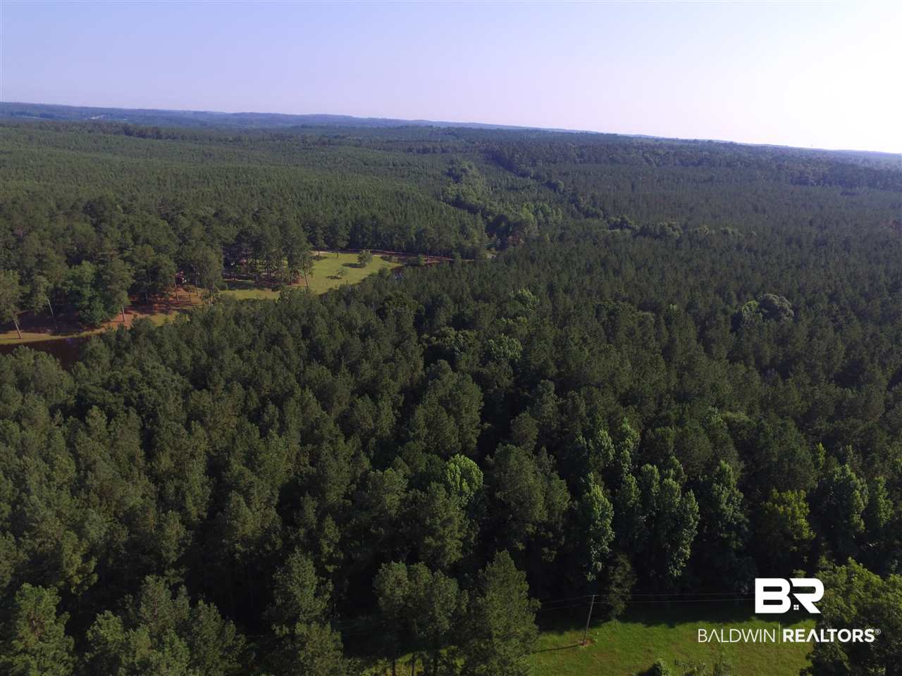 744 Fox Trot Road Grove Hill, AL 36451 - Photo 37 of 46