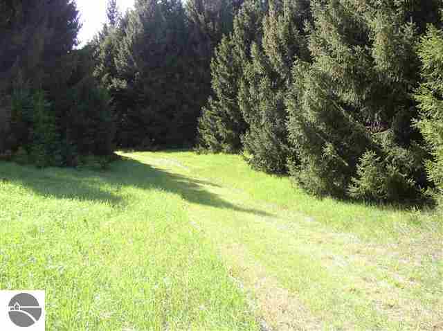 8394 Dell Road Kingsley, MI 49649 - Photo 9 of 36 1746370-8.JPG