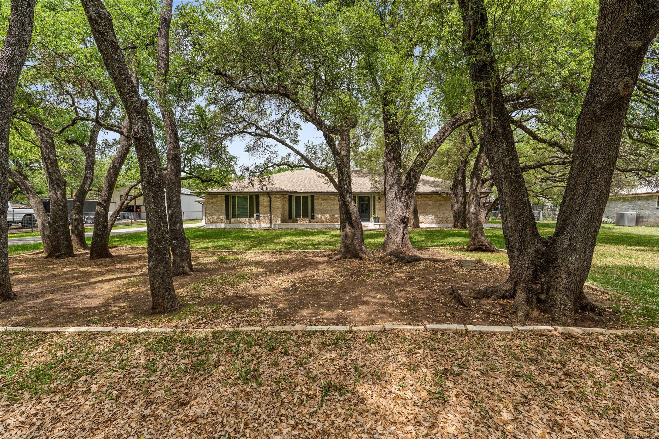 224 Clear Spring Road Georgetown, TX 78628 - Photo 10 of 40 a tree in the middle of a yard