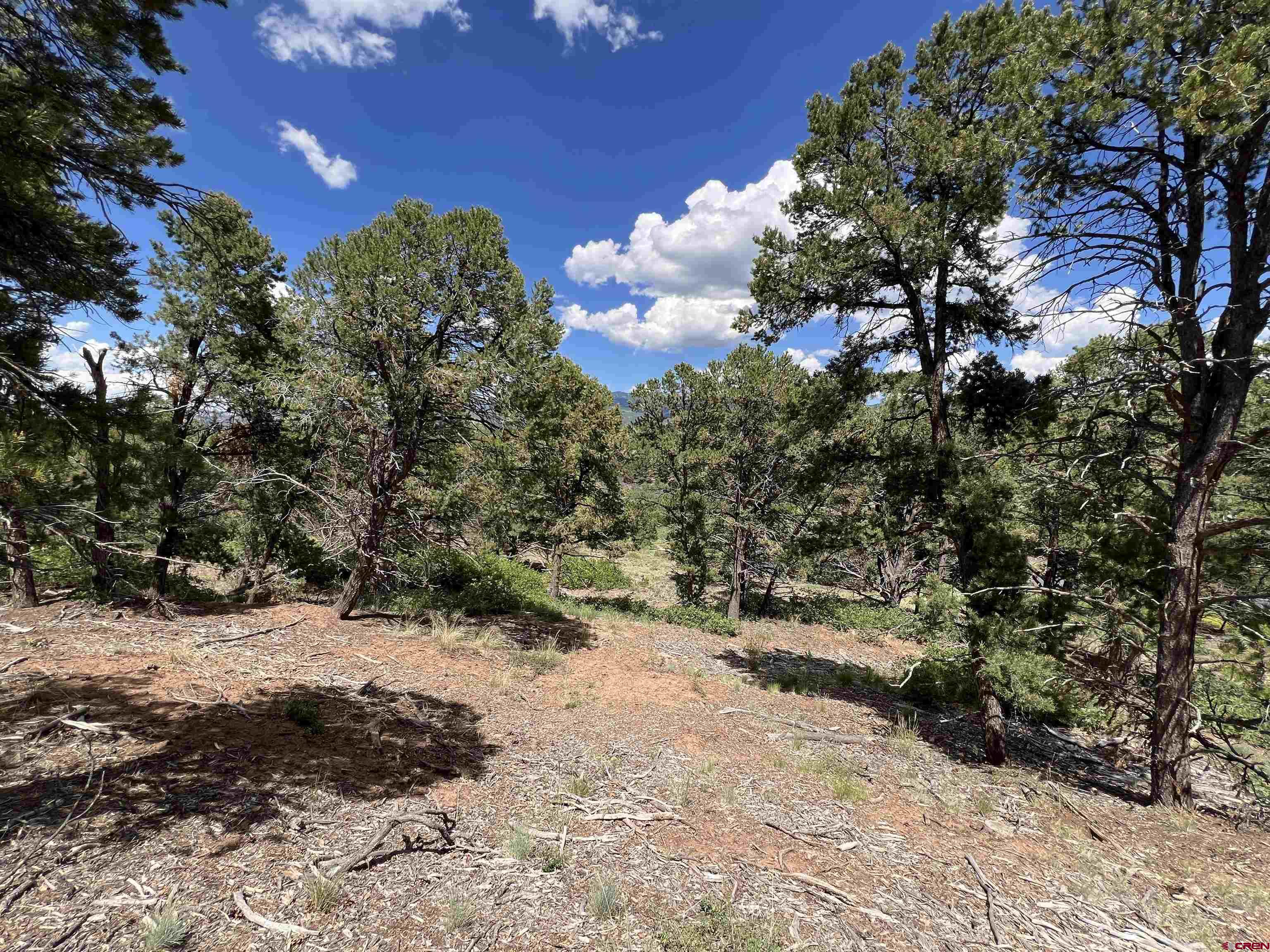 Lot 9 Pointe Escape Drive Ridgway, CO 81432 - Photo 12 of 33