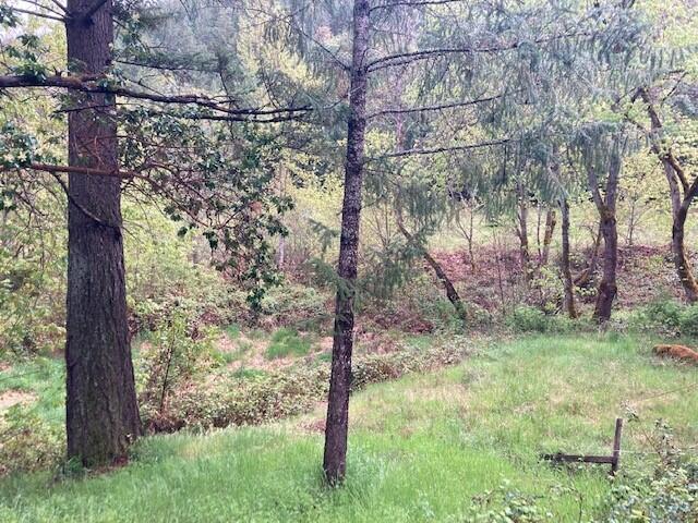 2230 Anderson Creek Road Talent, OR 97540 - Photo 21 of 27 2230 Anderson Creek - Pic 23