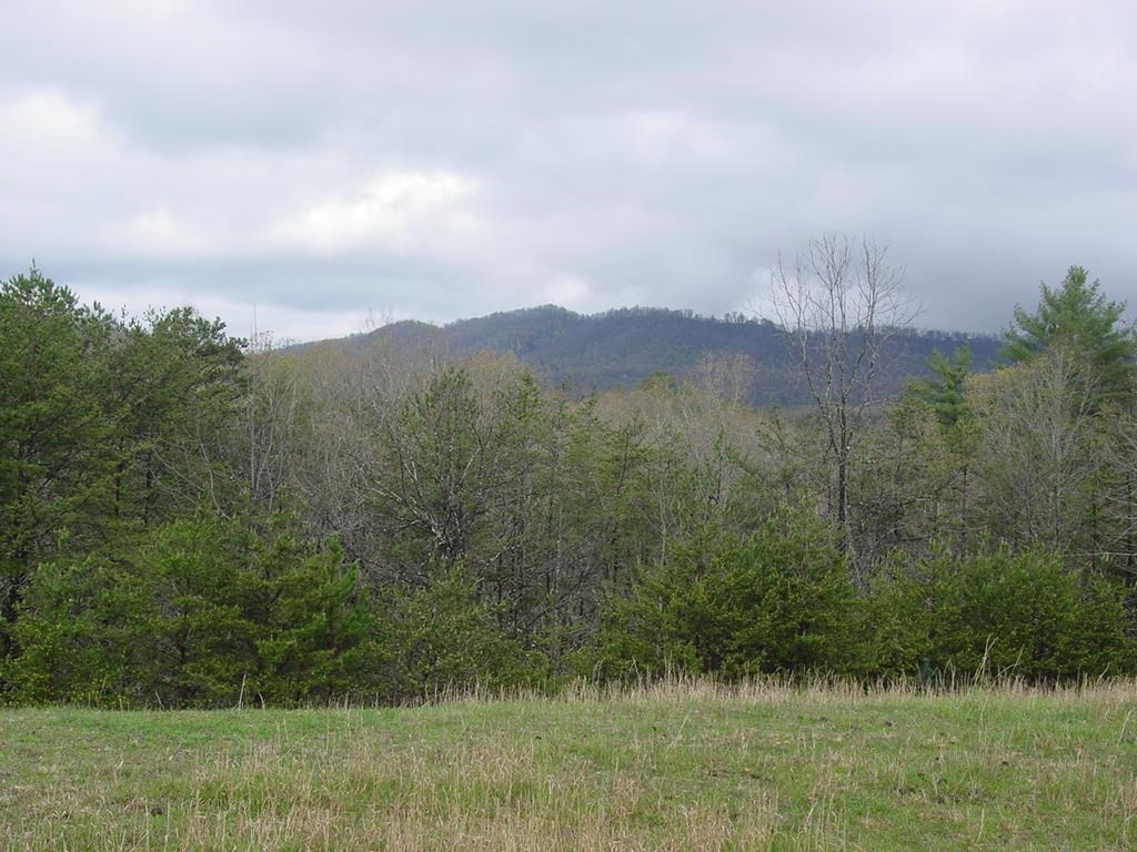 174 Two Springs Road Young Harris, GA 30582 - Photo 2 of 15 Gallery Image 2