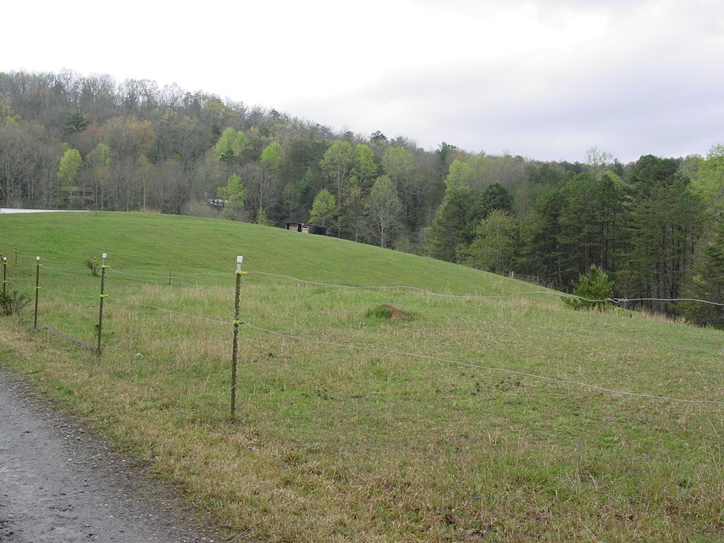 174 Two Springs Road Young Harris, GA 30582 - Photo 5 of 15 Gallery Image 5