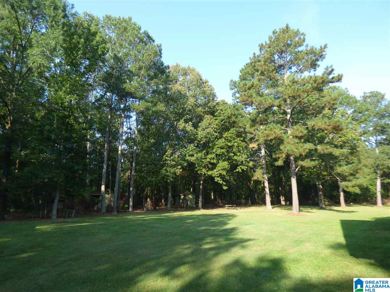1955 Lumley Road Rainbow City, AL 35906 - Photo 4 of 49
