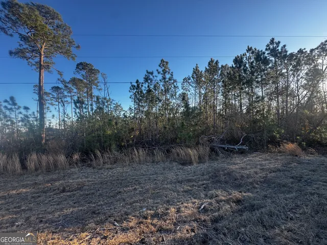 $49,900 | 0 Hwy 107, Denton, GA 31532