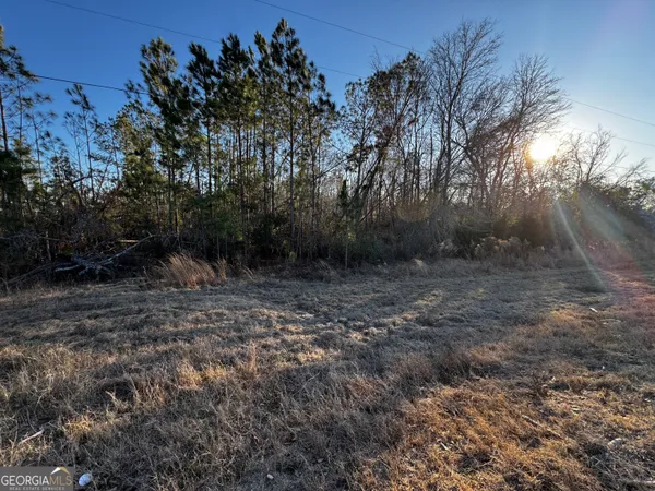 $49,900 | 0 Hwy 107, Denton, GA 31532