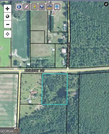 $49,900 | 0 Hwy 107, Denton, GA 31532