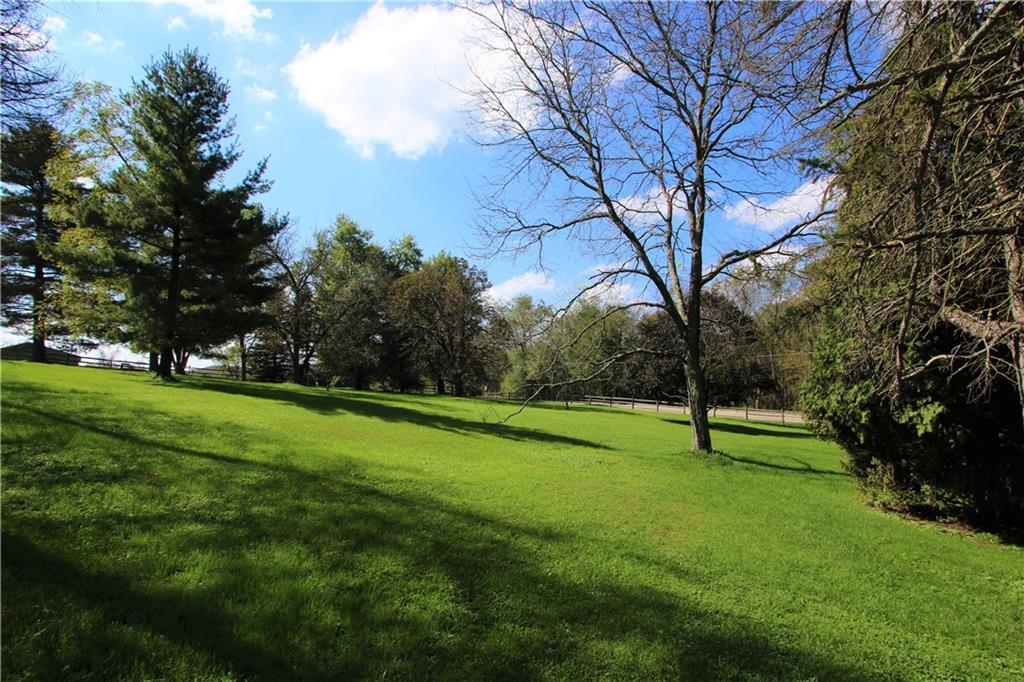 Tall Pines and Shrubs Provide Privacy.