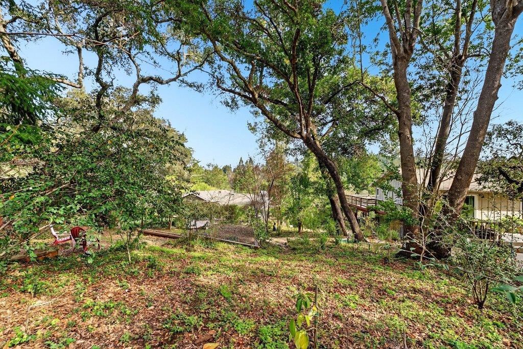 2907 Granite Creek Road Scotts Valley, CA 95066 - Photo 54 of 68