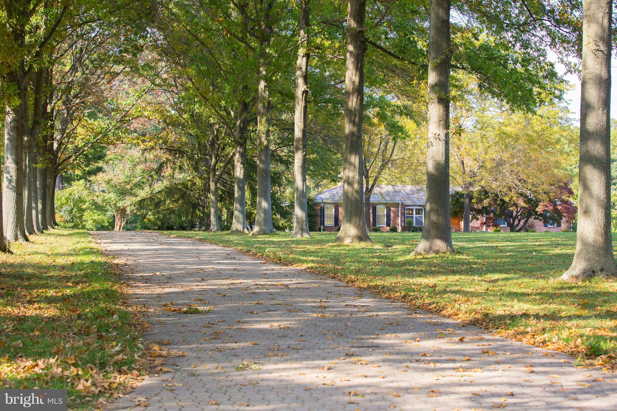3206 Vance Road Monkton, MD 21111 - Photo 1 of 30 Beautiful Brick Rancher on 11.65 acres!
