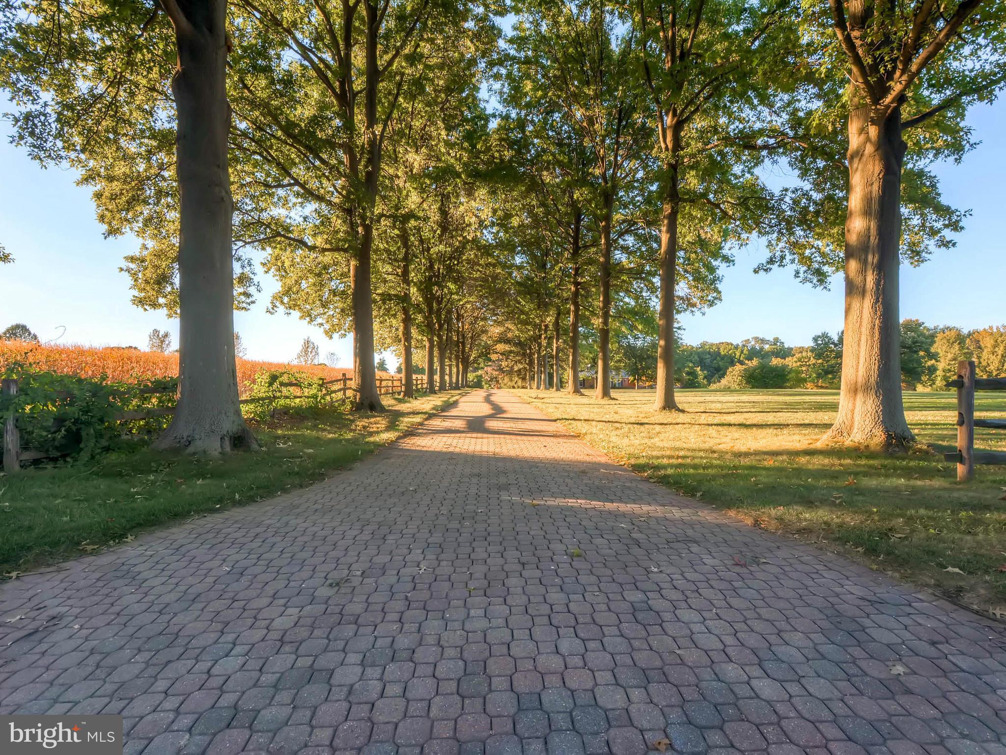 3206 Vance Road Monkton, MD 21111 - Photo 27 of 30 Tree Lined Brick Driveway - Just Beautiful!
