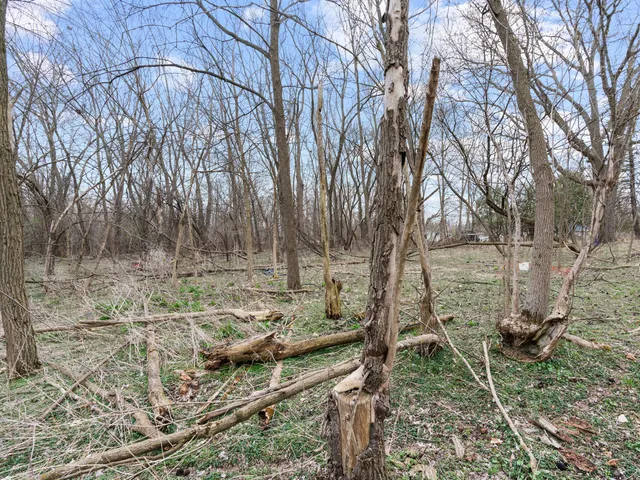 a backyard of a house with lots of green space