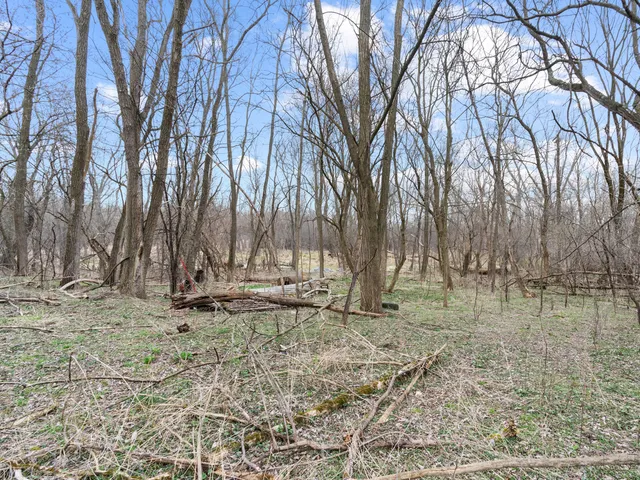 a backyard of a house with a trees
