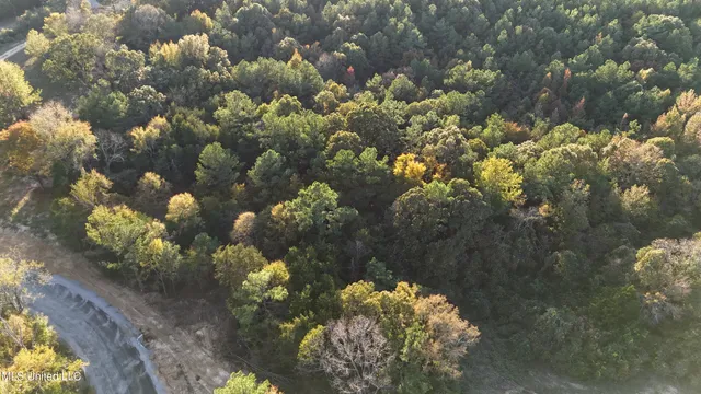 $45,000 | 2 Tyro Branch Cove, Senatobia, MS 38668