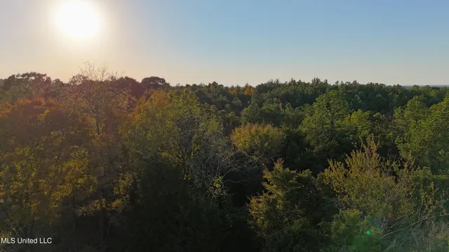 $45,000 | 2 Tyro Branch Cove, Senatobia, MS 38668