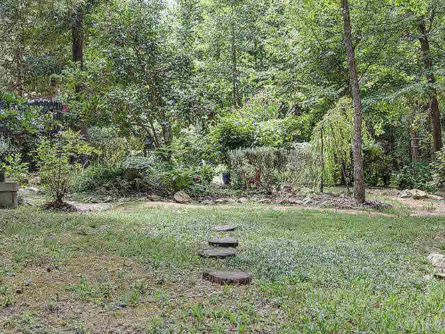 5229 Guess Road Durham, NC 27712 - Photo 25 of 25 This is just a glimpse of this beautiful 1 acre lot. Come and enjoy! Back Yard