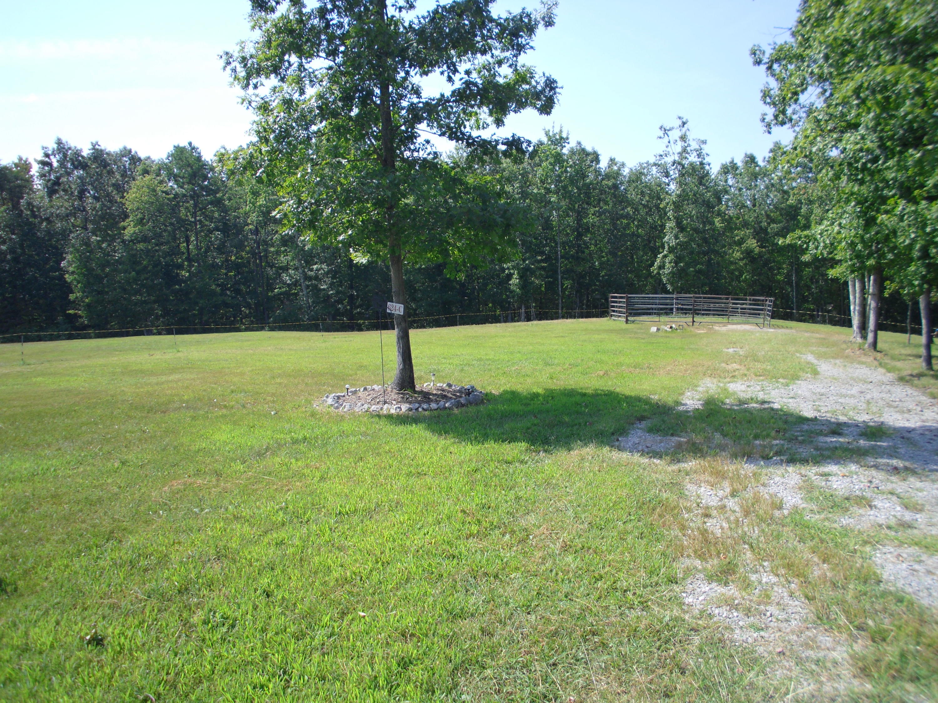Buck Ridge Road Road Jamestown, TN 38556 - Photo 1 of 5 SAM_1161