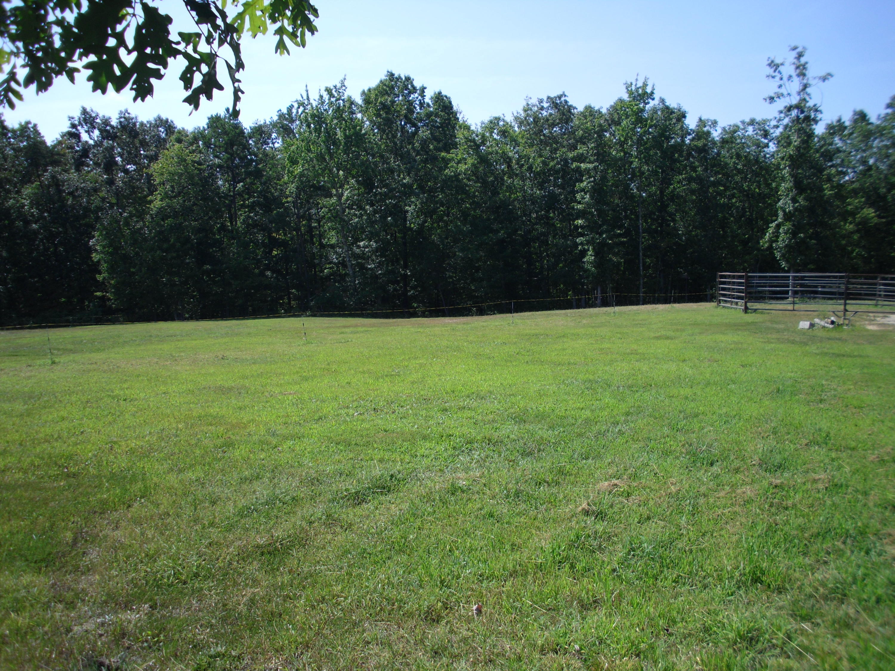 Buck Ridge Road Road Jamestown, TN 38556 - Photo 3 of 5 SAM_1163
