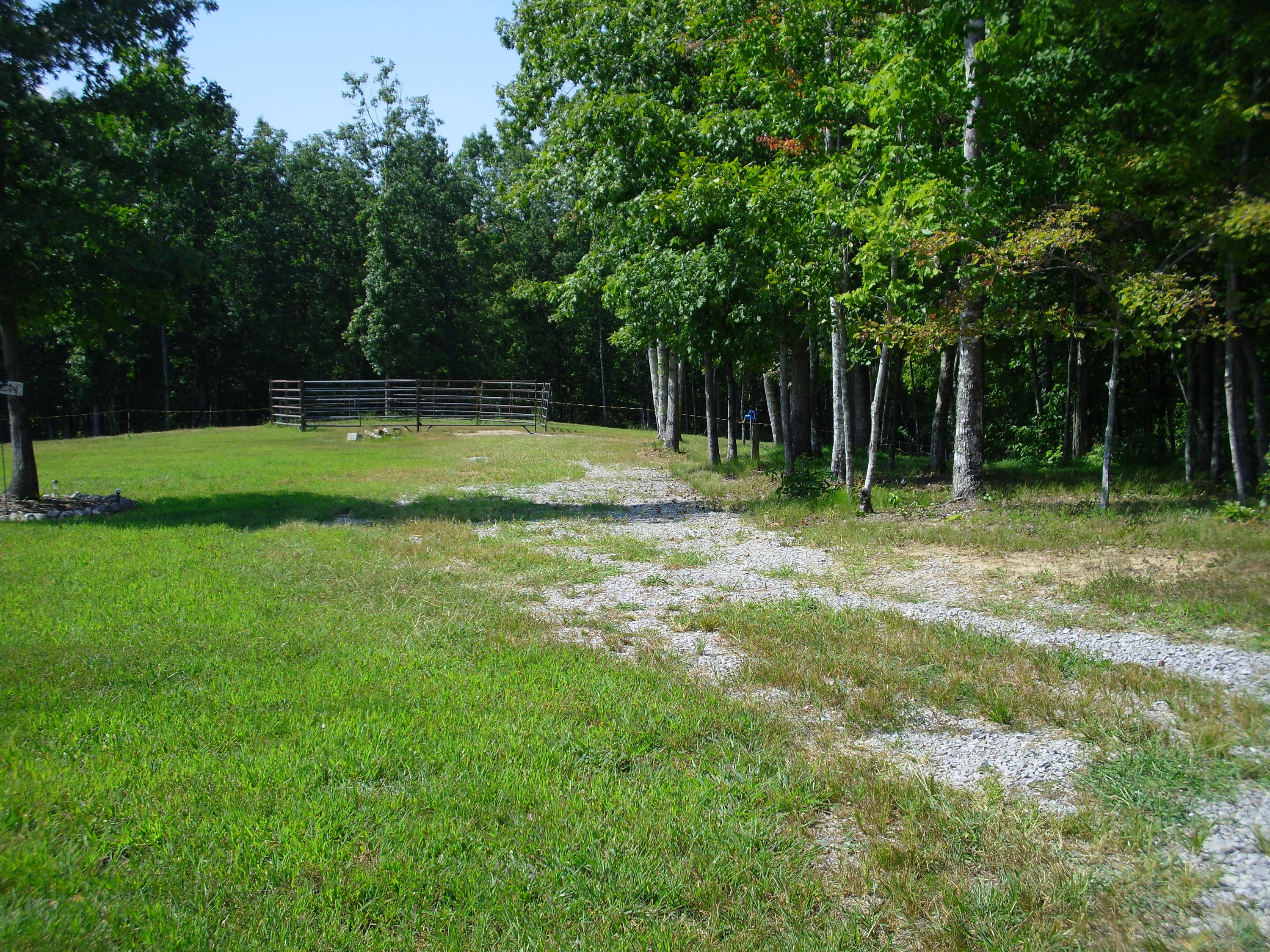 Buck Ridge Road Road Jamestown, TN 38556 - Photo 5 of 5 SAM_1165