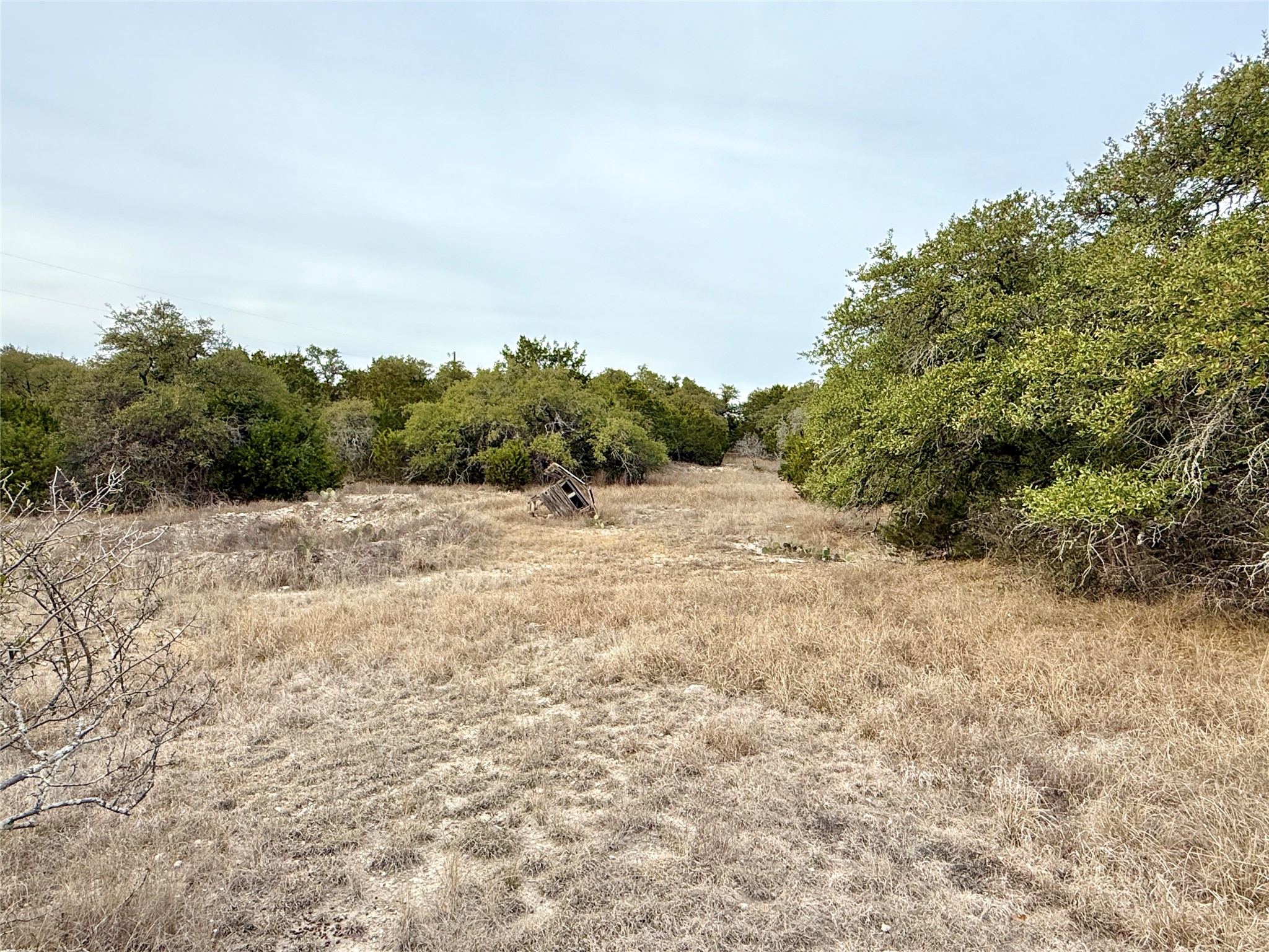 557 Abodar Trail Spring Branch, TX 78070 - Photo 17 of 22 Interior - view from the gate