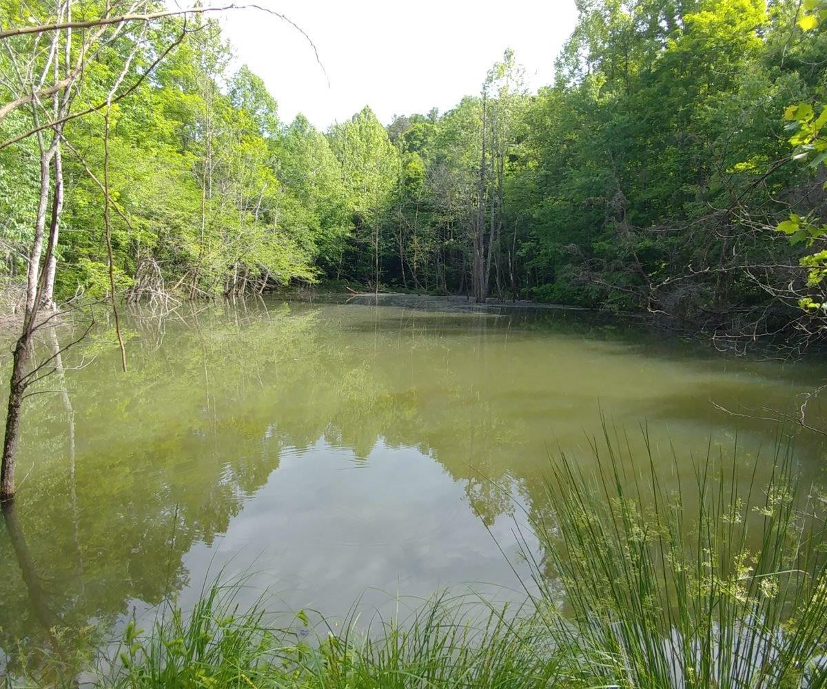3075 Peter Trace Means, KY 40346 - Photo 1 of 56 Photo 1